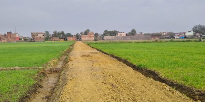 फर्जी हाजिरी लगाकर सरकारी धन हजम करने का प्रयास