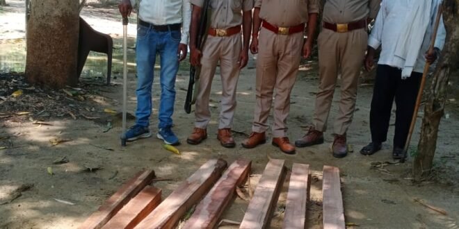 उसरहवा वनटांगिया में वन सुरक्षा टीम ने की छापेमारी, अवैध साखू की लकड़ी बरामद