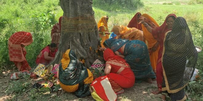 पति के लंबी आयु के लिए सुहागिनों ने रखा व्रत
