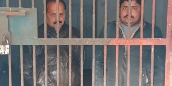 मधवलिया वन क्षेत्र में साखू लकड़ी तस्करी का भंडाफोड़, दो गिरफ्तार