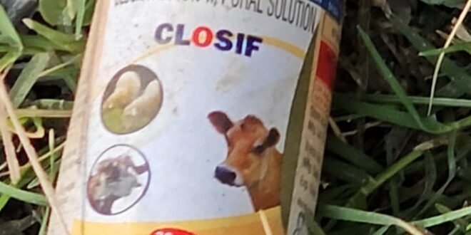 ब्लॉक परिसर में एक्सपायरी दवाओं को जलाने से फैला जहरीला धुआं, दो कर्मचारी बेहोश