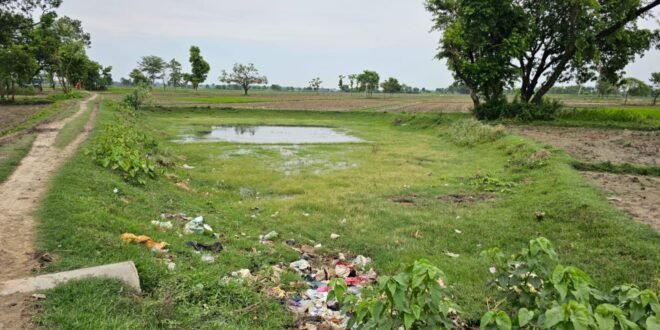 निचलौल ब्लॉक के मोजरी ग्राम सभा में बिना कार्य के फर्जी हाजिरी अपलोड करने का आरोप 