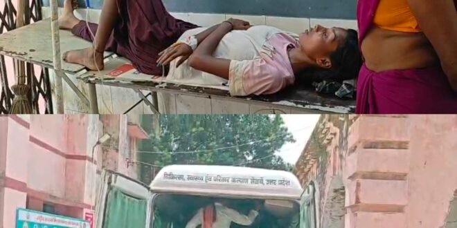 ठूठीबारी में युवती को जहरीले सांप ने काटा, हालत गंभीर, जिला अस्पताल रेफर