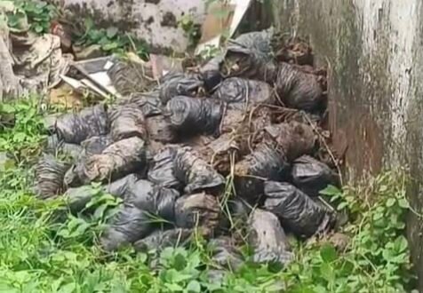 एक पेड़ मां के नाम अभियान पर सवाल: निचलौल बीईओ कार्यालय के पीछे सूख गए सैकड़ों पौधे, जिम्मेदारों की लापरवाही उजागर”