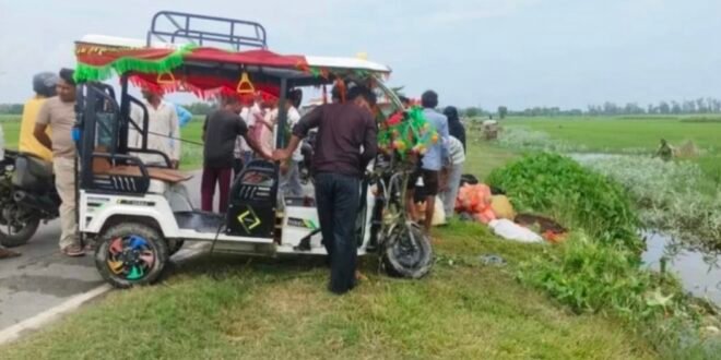 गड्ढे में पलटा सब्जियों से लदा ई-रिक्शा, चालक व बच्चे बाल-बाल बचे