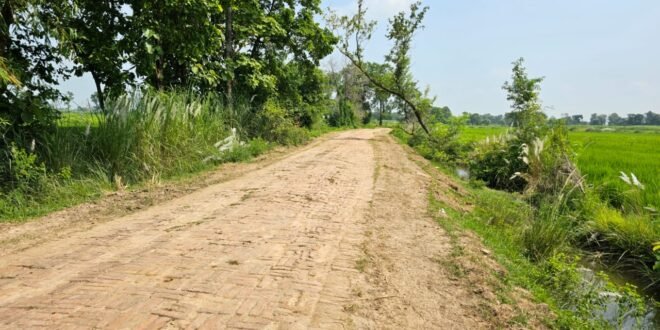 मिट्टी कार्य के नाम पर घास छिलाई कर खानापूर्ति, फर्जी हाजिरी