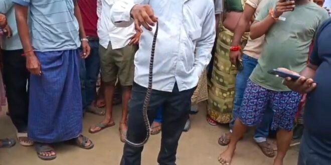 सोते समय करैत ने मां-बेटे को डसा, मासूम की मौत; मां की हालत गंभीर