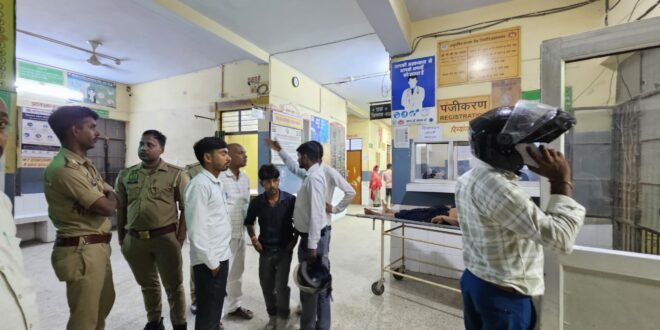 बकरी को बचाने में अनियंत्रित हुई बाइक, महिला की मौत; बेटा घायल