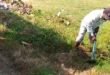 शिकायत पर अधिकारियों ने लिया संज्ञान, मिनी स्टेडियम की हुई साफ-सफाई